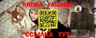 прущие грибы Абакан