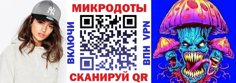 Галлюциногенные грибы Psilocybe  Бийск 