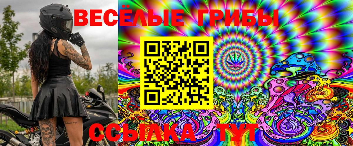 Галлюциногенные грибы MAGIC MUSHROOMS  Галлюциногенные грибы GOLDEN TEACHER  Бийск 