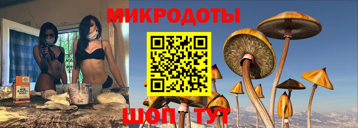 Псилоцибиновые грибы мухоморы Бийск