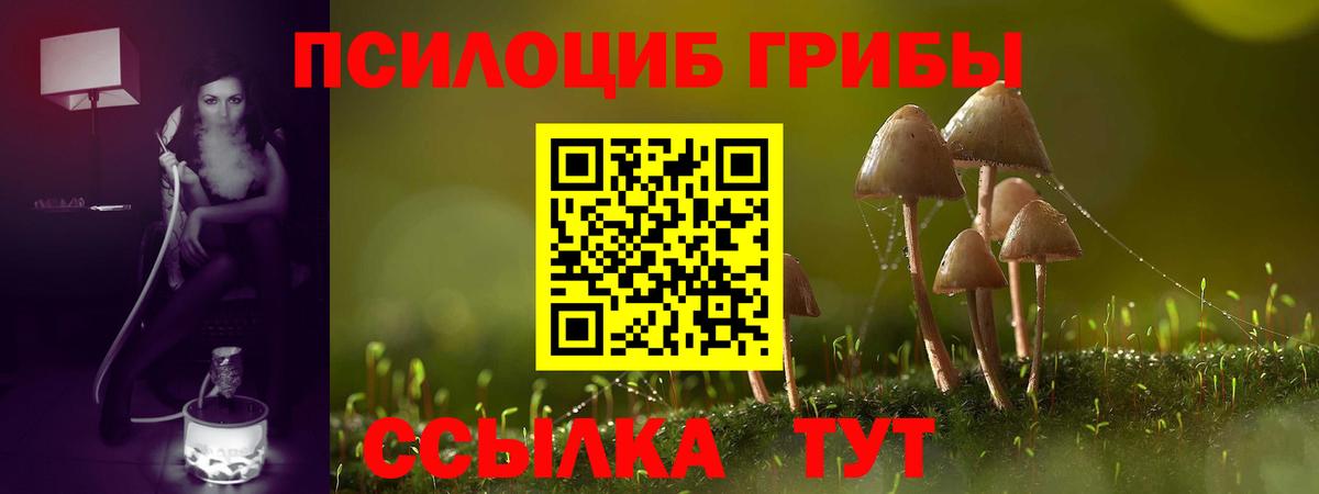 Псилоцибиновые грибы ЛСД Бийск